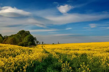 typecho迁移到wordpress程序的具体步骤
