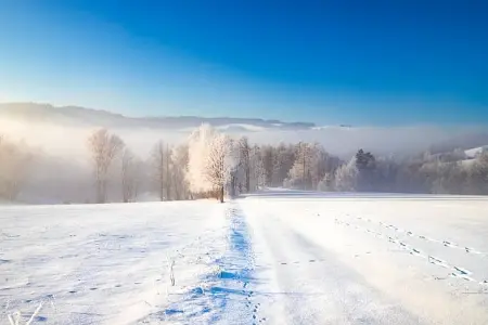 钢铁是怎样炼成的每章概括