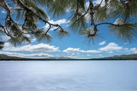 教你说话的技巧（会说话让你少奋斗20年）