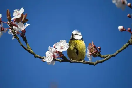 阅读排行