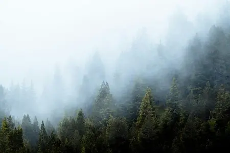 失乐园