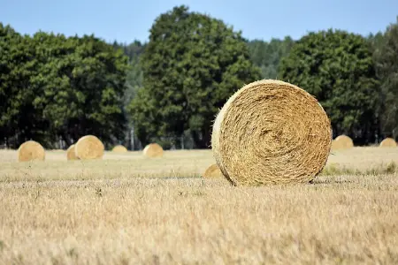 typecho迁移到wordpress程序的具体步骤